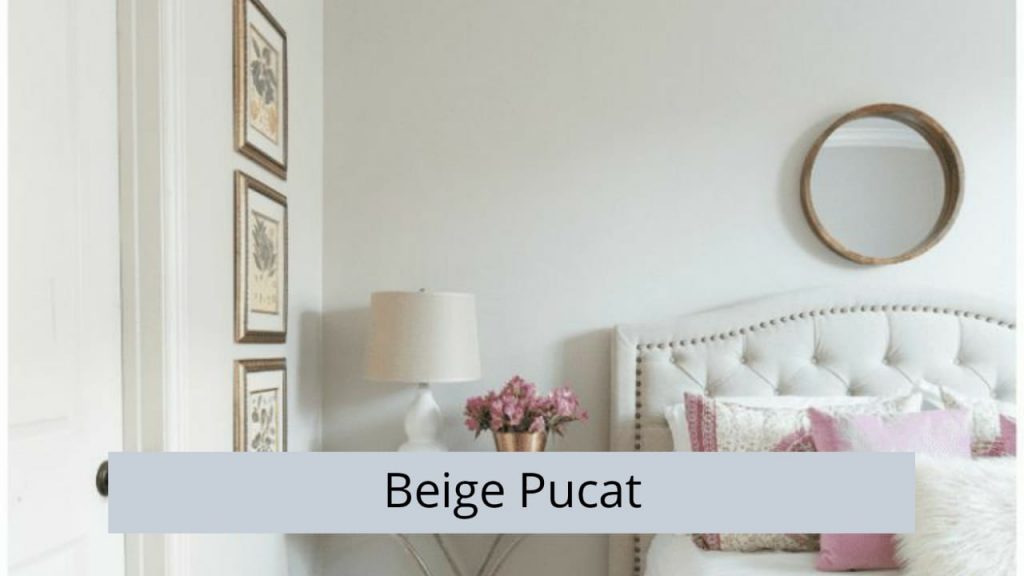 Beige Pucat