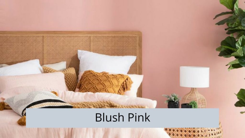 Blush Pink